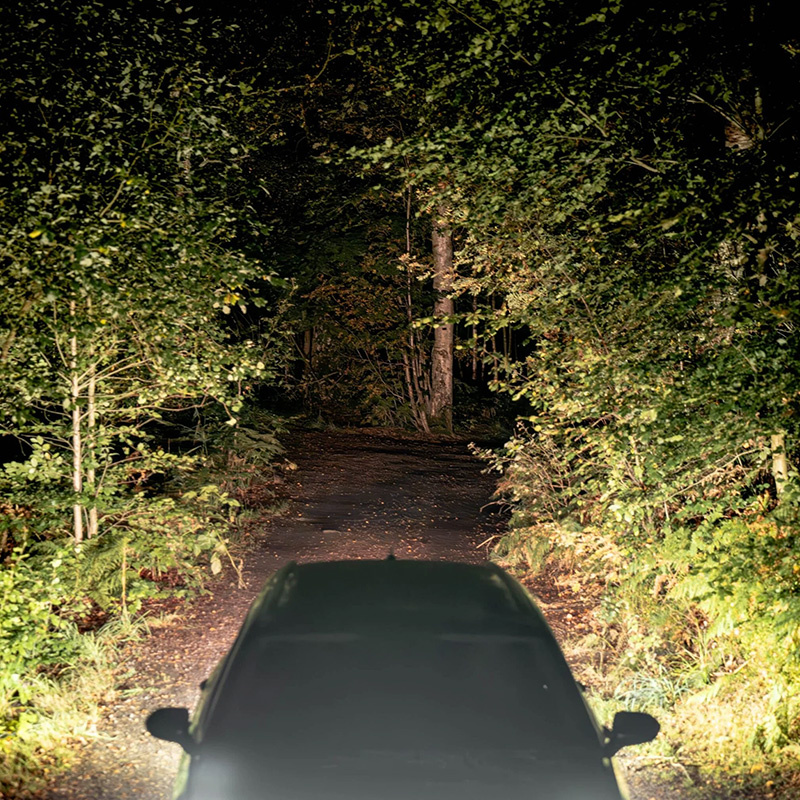 Ledson Backljuspaket Med 2st Nano-Kontakter 60W